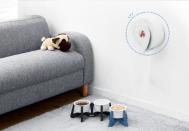 쌍용C&B, 펫팸족 위한 대용량의 ‘코디 쉼표 점보롤 디스펜서’ 출시