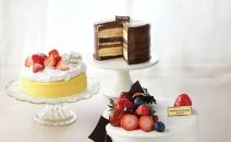뚜레쥬르, 완전히 새로운 ‘프리미엄 케이크’ 50종 출시