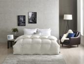 알레르망, ‘2017 FW 프레스티지 구스’ 라인 출시