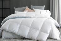 이브자리, 프리미엄 구스로 슬리포노믹스 정조준