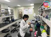 아미코스메틱, ‘제주광나무 추출물을 유효성분으로 함유하는 안티폴루션화장료조성물’ 등 특허2건 등록 결정