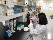 아미코스메틱, ‘감자 추출물 또는 감자박 추출물을 포함하는 여성 청결제조성물’ 특허1건 등록 결정