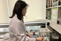 아미코스메틱, ‘갯버들 추출물을 유효성분으로 함유하는 화장료 조성물’ 특허 1건 등록 결정