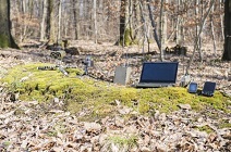 엑센서와 실테크, 동유럽에서 새로운 파트너십 계약 맺어