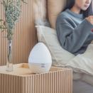 신일, 5in1 블루투스 멀티 가습기 ‘에그머니나’ 출시