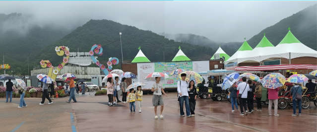 포천시, 한탄강 가든페스타에 핀 꽃보다 아름다운 친환경 우산