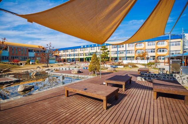 운동장의 마법, 생태운동장: 흙먼지 운동장에서 자연의 교실로 - 밀주초등학교가 보여준 생태운동장의 혁신