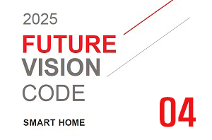 2025 Future Vision Code_MORE THAN MINIMAL