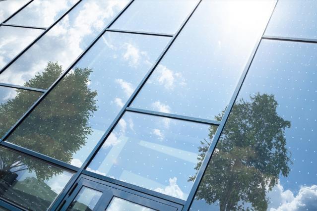 새를 지키는 유리