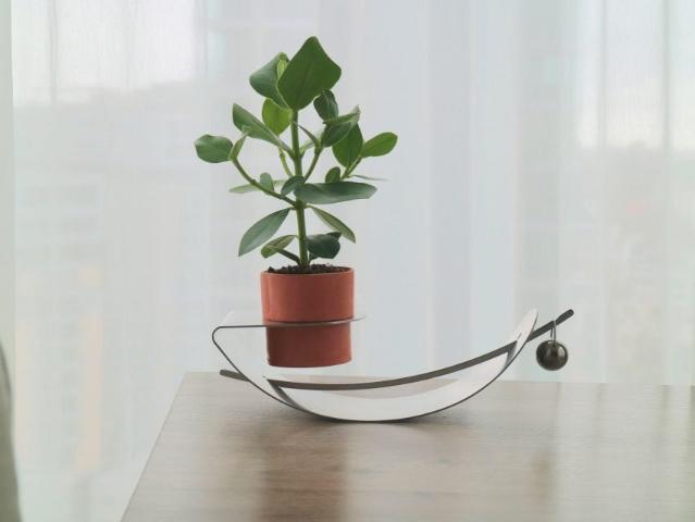 가중치 활용해 식물의 '끊임없는 변화'를 보여주는 틸트 화분