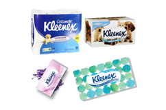 호주 위생지 시장 동향