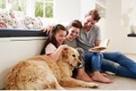 지속 성장하는 터키 애완동물용품 시장