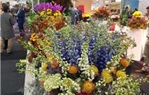 화훼강국 네덜란드, IFTF 2018(국제화훼재배산업 박람회) 참관기!