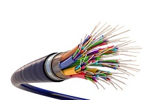 오스트리아, 정부 지원 확대로 성장세 기대되는 IT 시장