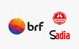 브라질, BRF 사칭 사기 시도 업체 주의!