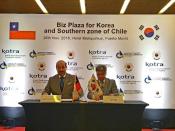 칠레 남부 비즈니스 플라자 참관기