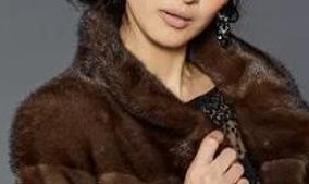 美, 모피 판매 금지법 확산과 비건 패션