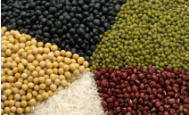 브라질 바이어에게 듣는 농업 비즈니스 시장