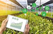 중국 알리바바, 헤이룽장성과 농업 스마트화 추진 관련 전략적 협약 체결