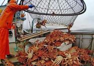 ‘투자없인 쿼터 없다’ 새롭게 열리는 러시아 수산&조선 시장