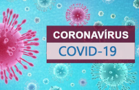 코로나 19가 브라질 경제에 미치는 영향