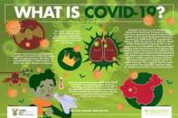 코로나19가 남아공 경제에 미치는 영향