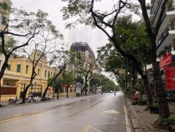 코로나19 이후 베트남 바이어 현장 인터뷰 (1)