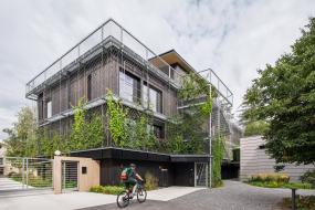 스뇌헤타, 그린 커튼 드리운 목조 오피스 완공