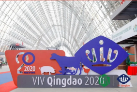 中 칭다오 국제 집약화 목축업 전시회 참관기