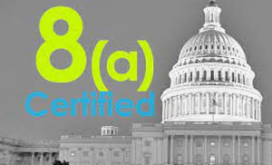 미국 중소기업청의 소수민족기업 인증 프로그램 웨비나 참관기