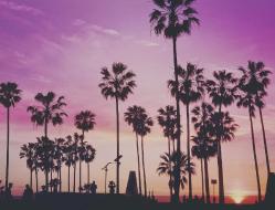 美 캘리포니아주 투자환경 및 법인 설립 절차 살펴보기