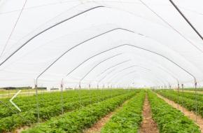 카자흐스탄 진출기업에 듣는 온실하우스 필름시장 동향