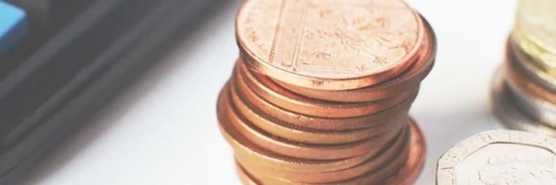 남아공, 2021년 국정연설 및 예산안 발표