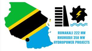 탄자니아 수력발전소 개발 관련 TANESCO와의 인터뷰