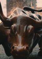 떠오르는 신흥국, 인도의 증권시장을 알아보다