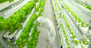 거대 유망 일본 스마트 팜 시장, 우리기업의 블루오션 될까