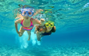 美 보복소비 증가, 2021년 소매 시장 전망은?