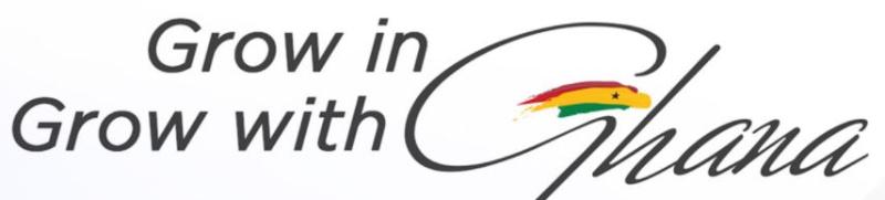 뉴노멀 시대의 지속가능한 가나 투자 진출 전략