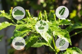 한-요르단 스마트팜 기술 웨비나 현장 스케치