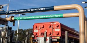 호주 최초의 수소 혼합가스 공급사 AGIG 수소 파크 방문기