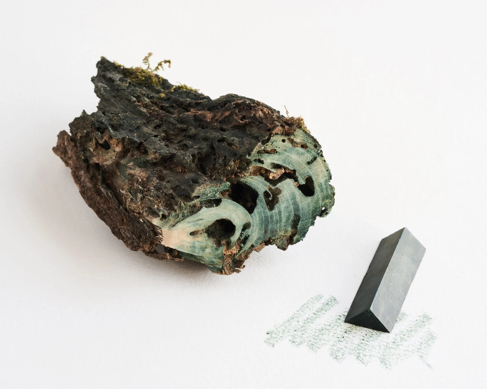 나무가 지닌 다양한 색채 스펙트럼 드러내는 포레스트 크레용