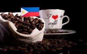 필리핀 커피산업 동향