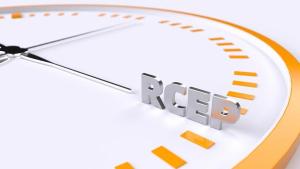 RCEP 발효, 대중 수출과 RVC 재편에 대한 영향은?