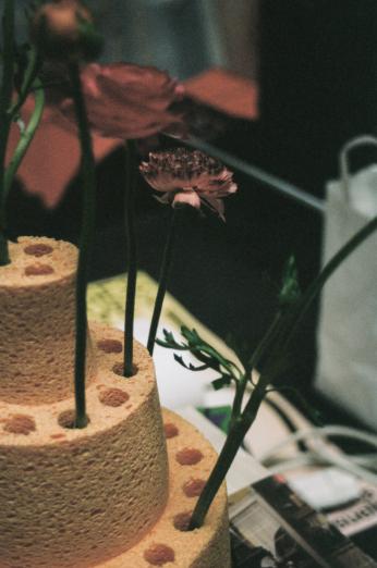 집에서 키우는 스펀지 가구를 10배로 확장한 ÉCAL의 성장형 가구