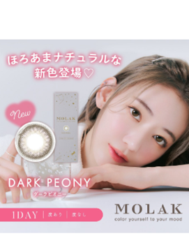 홍콩 콘택트렌즈 시장동향