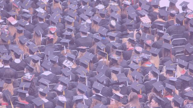 “디자인 교육의 질이 예전보다 낮아졌다”고 디자이너들은 말한다.