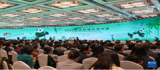 팬덤이 만드는 시장: 중국 '팬덤경제'의 성장