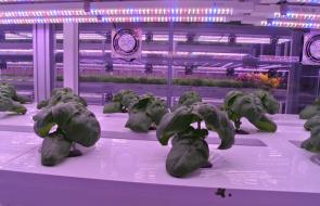 미래형 도시농장 상도역 메트로팜(Metro Farm)