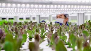 미래 먹거리를 위해 똑똑해지고 변화하고 있는 농장들