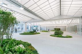 도심 속 자연주의, 리테일 테라피